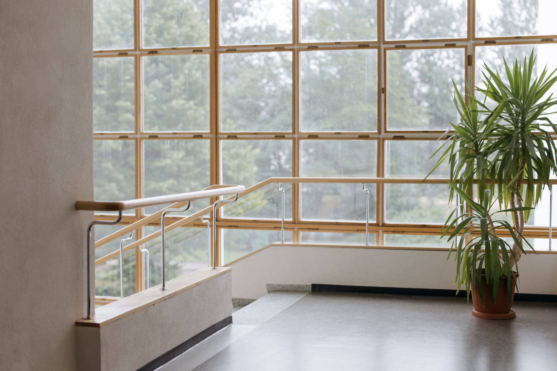 Streifenfrei gereinigte Fensterfront